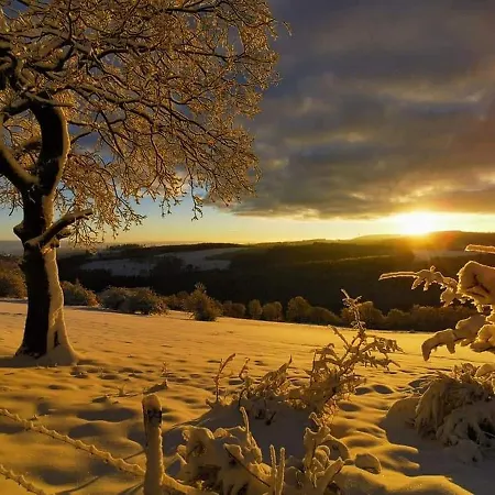 ホテル Cafe-restaurant Vedder Herscheid