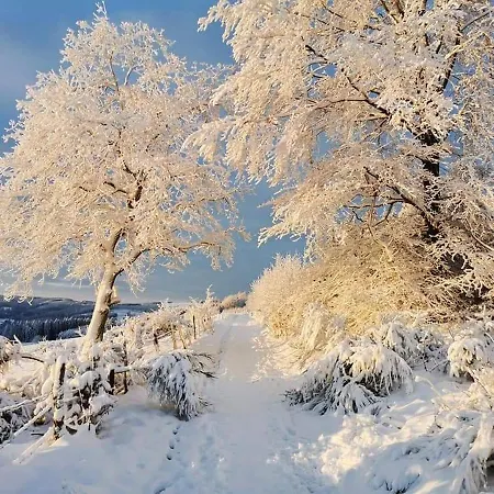 فندق Cafe-restaurant Vedder 3*