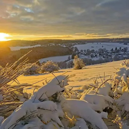 Cafe-restaurant Vedder ホテル 3*