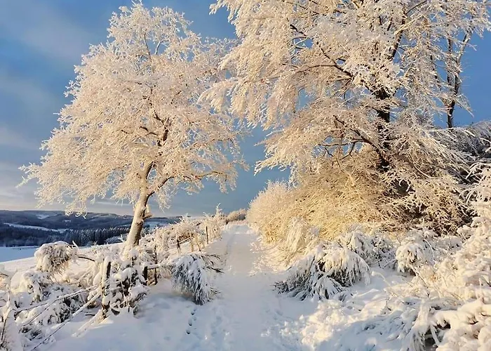 Hotel Cafe-restaurant Vedder 3*