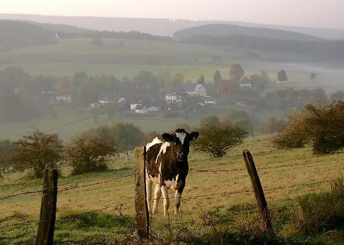 Cafe-restaurant Vedder Hotel