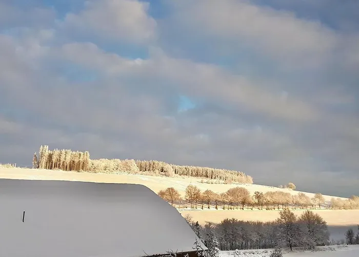 Hotel Cafe-restaurant Vedder Herscheid