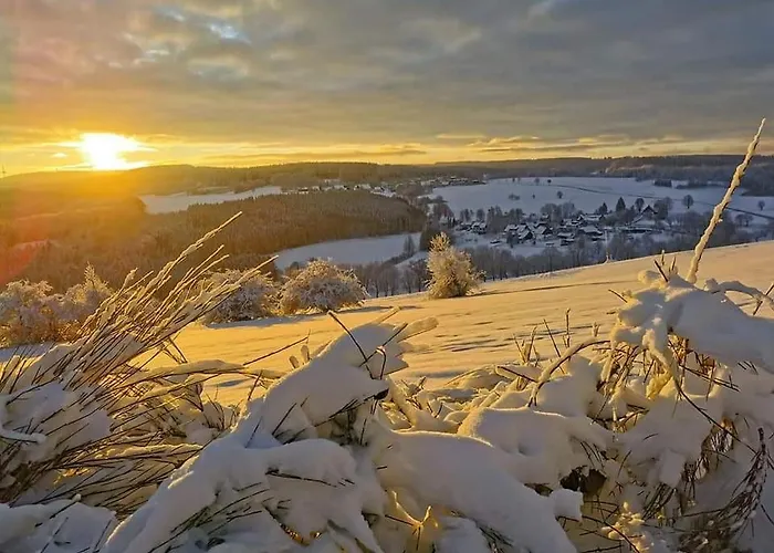 Cafe-restaurant Vedder Hotel 3*